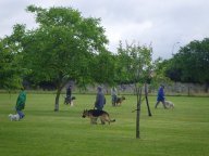 CLUB CANIN